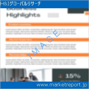 市場と産業調査レポートのイメージ